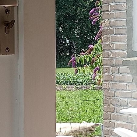 In Het Mooie Friesland Vele Bezienswaardigheden Hantum Kültér fotó