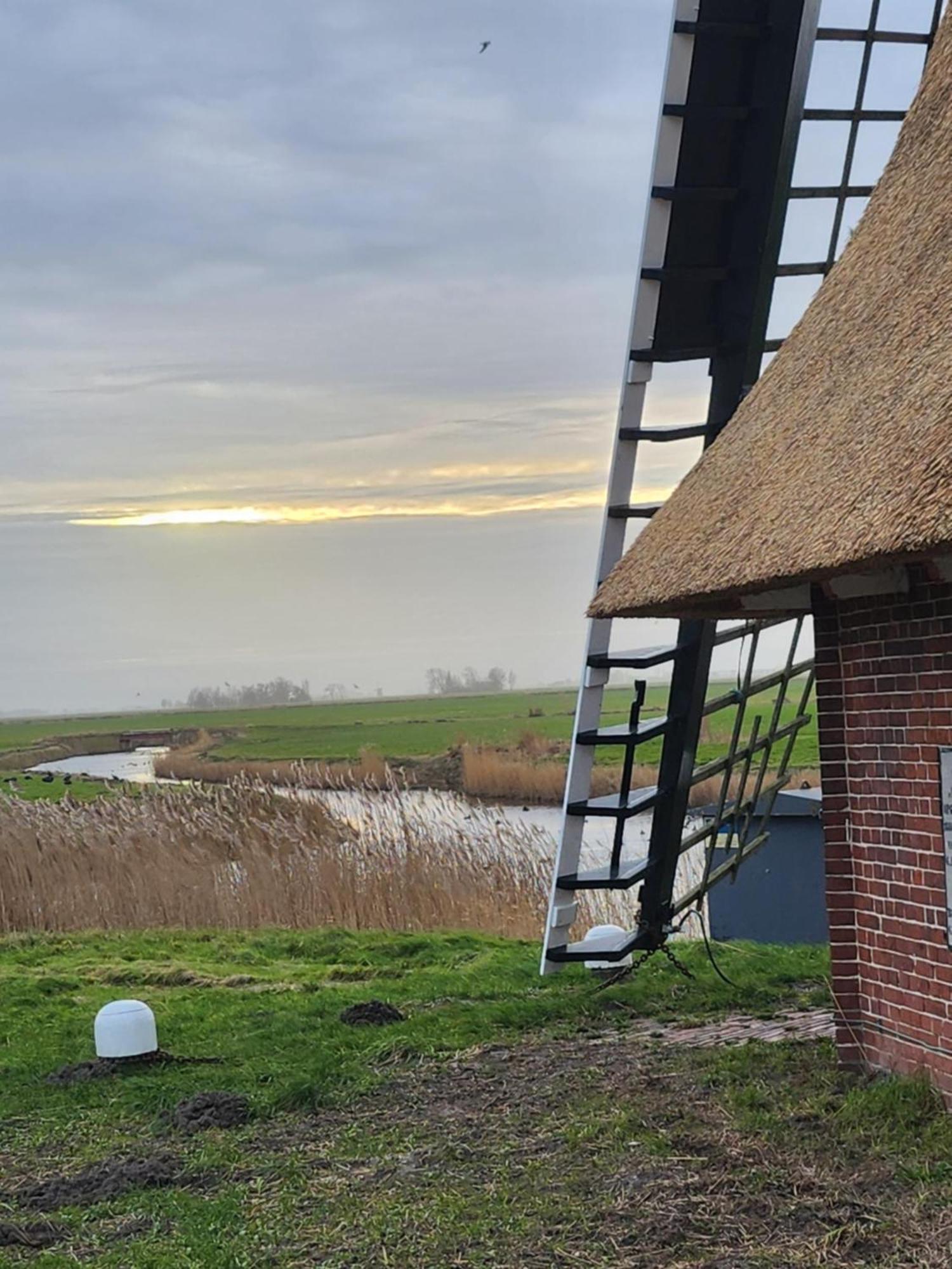 In Het Mooie Friesland Vele Bezienswaardigheden Hantum Kültér fotó